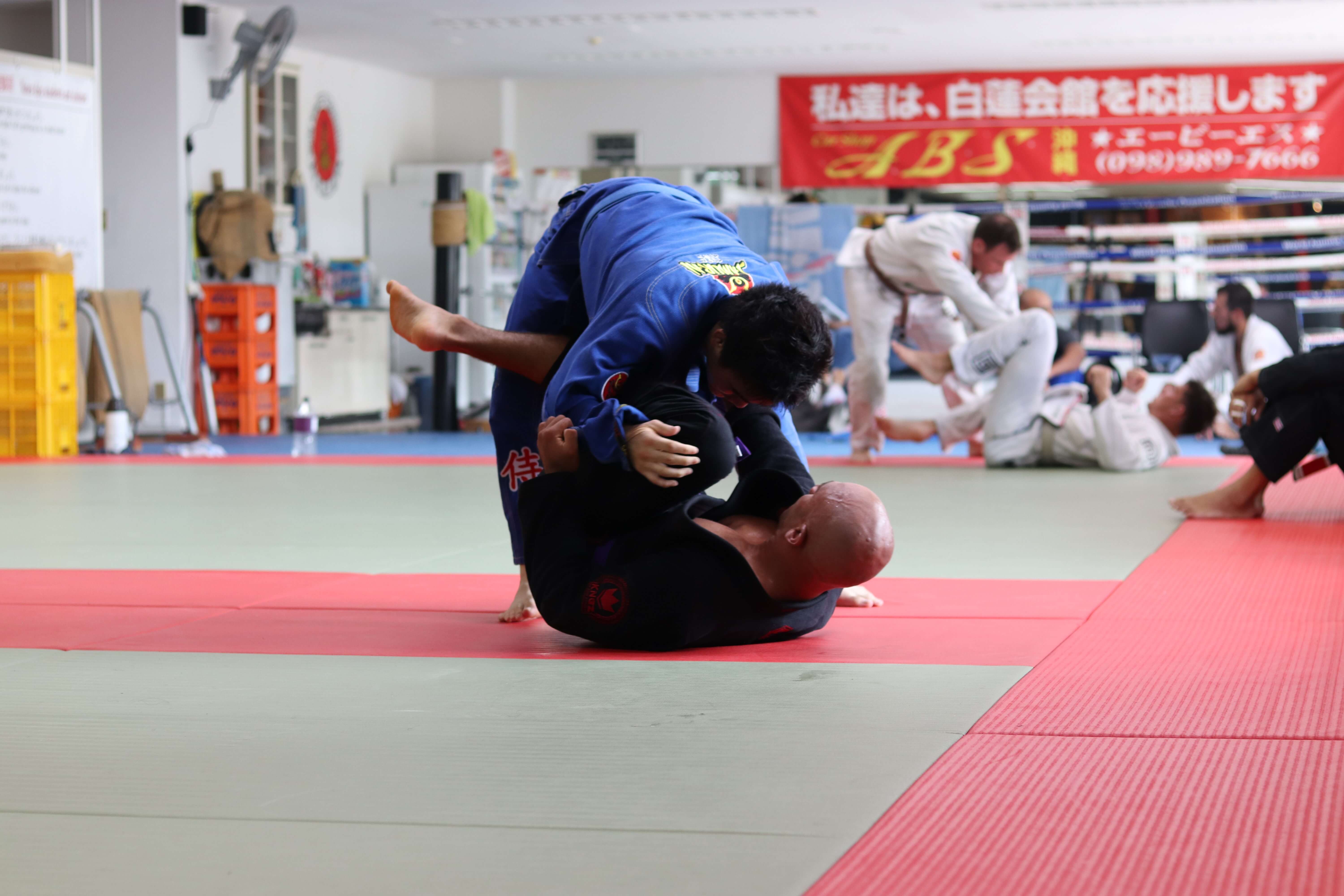 BJJ Fighters